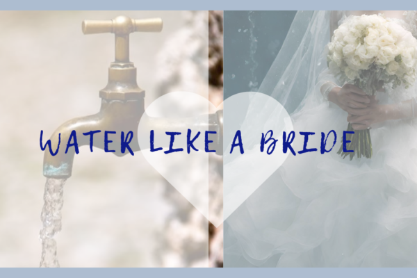 They Really Value Clean Water: Just Like a Bride